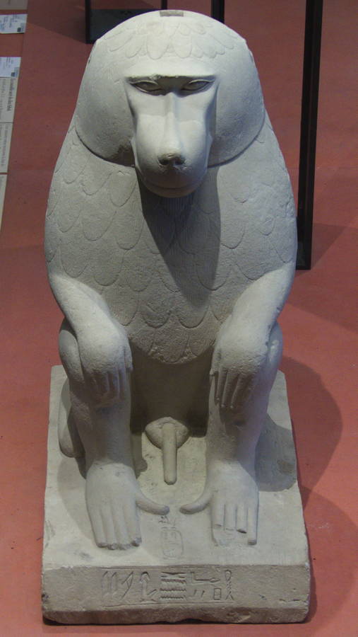 museo louvre 335